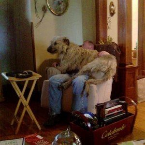 Meet your Posher, Barb